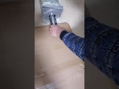 주사 추출 단 나사 배럴 전문 덩어리 추출 기계